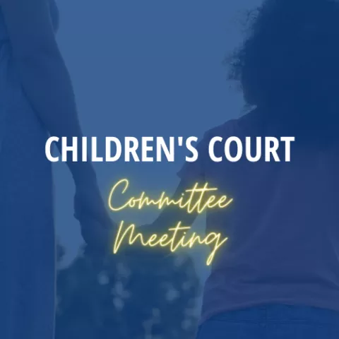 children's court committee meeting